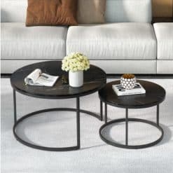 2 Piece Nesting Coffee Table Set