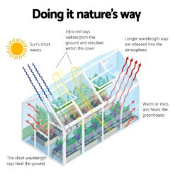Aluminium Greenhouse 2.4x2.5M - Complete Storage Solutions