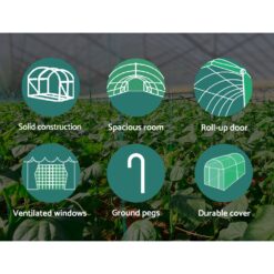 Greenhouse 6x3x2M - Complete Storage Solutions
