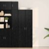 Black Oak