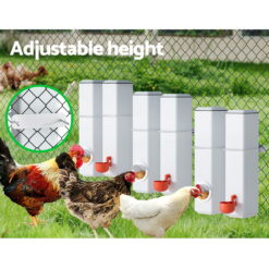 4L Chicken Feeder 11x11x48cm - Complete Storage Solutions