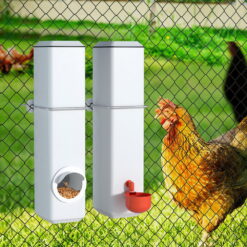 4L Chicken Feeder 11x11x48cm - Complete Storage Solutions