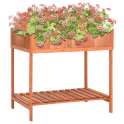 Herb Planter Solid Firwood 80x60x80cm