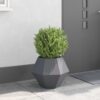 Anthracite