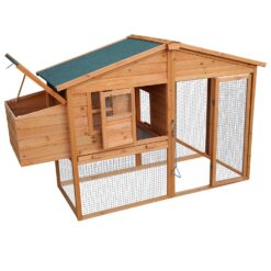 Alternative view of Large Chicken Coop & Rabbit Hutch