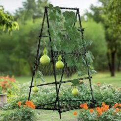 Alternative view of Metal Garden Trellis Arch Climbing