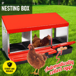 Alternative view of Chicken Coop Nesting Box